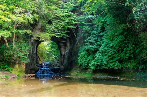 Experience the Magic of Chiba's Irelando Botanical Gardens